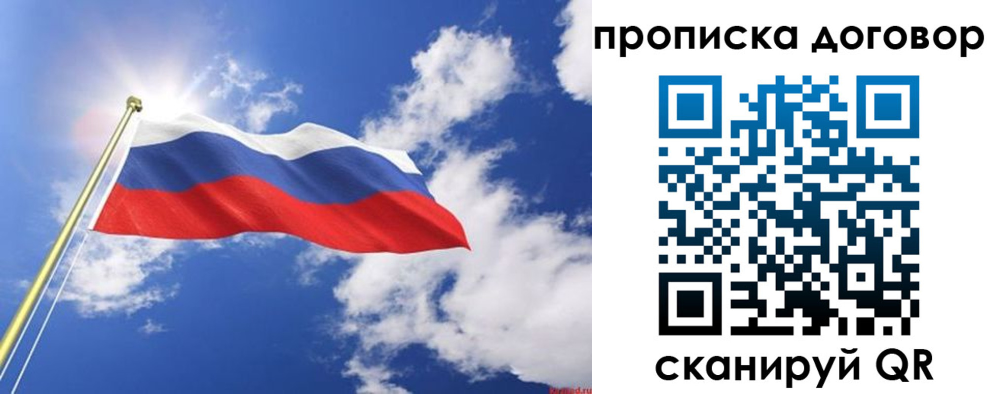 прописка гарантия в Воронежской области